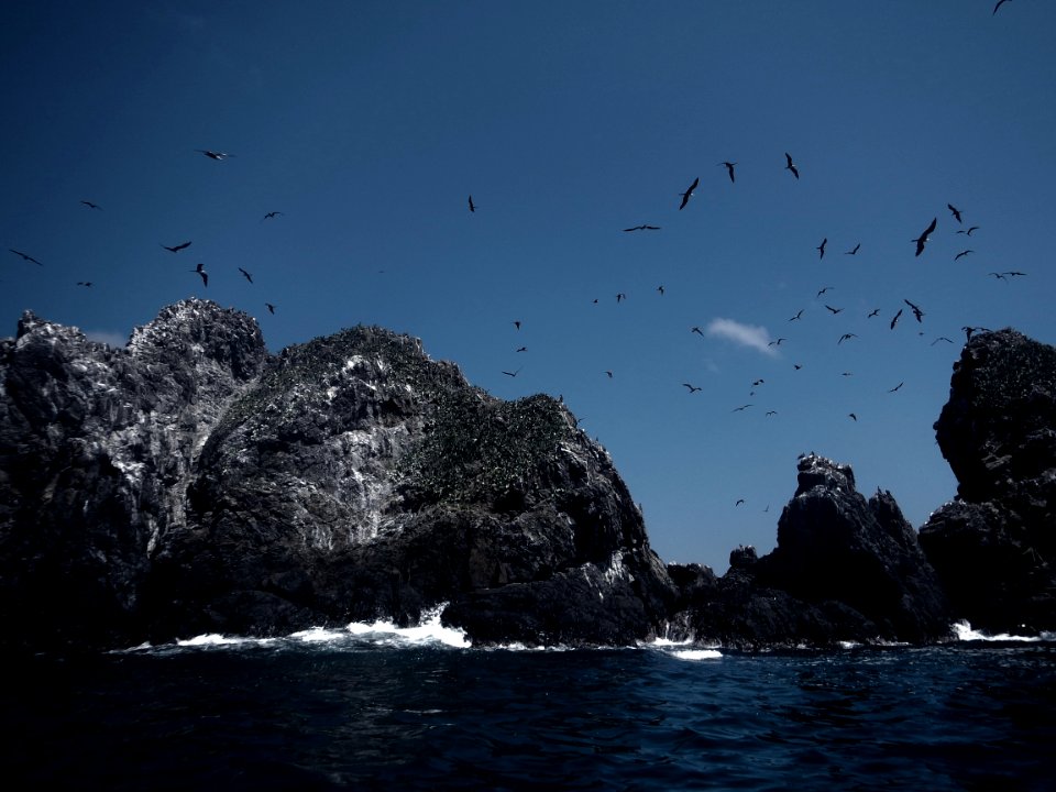 gray rocks with ocean waves during daytime