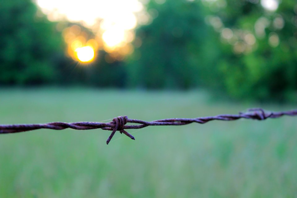 Saint george, Canada, Macro