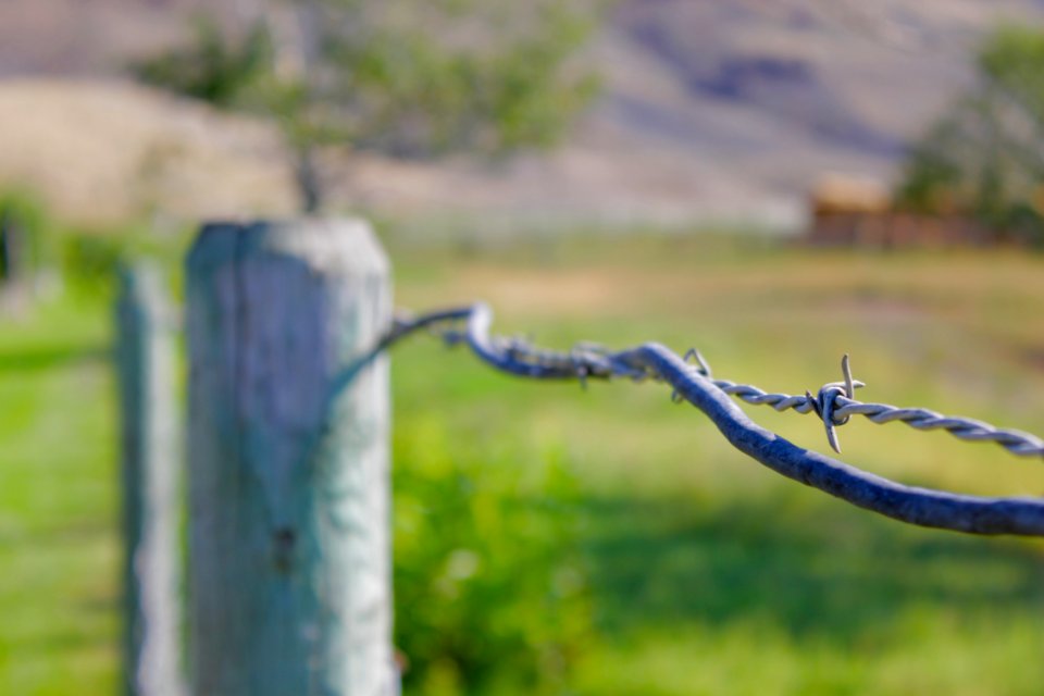 British columbia, Canada, Field