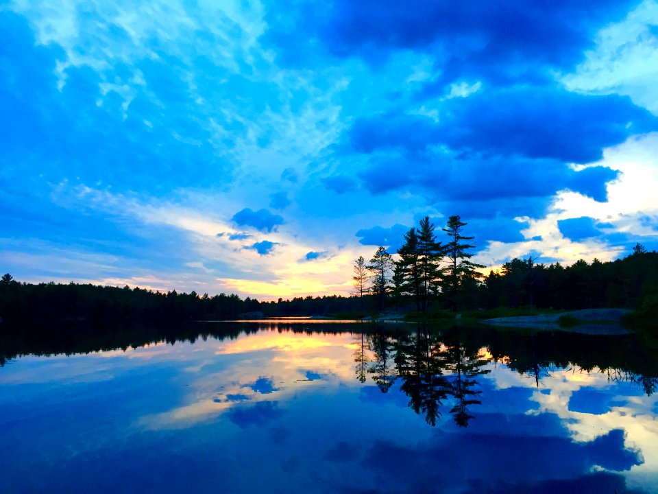 body of water surrounded by trees under cloudy sky during daytime