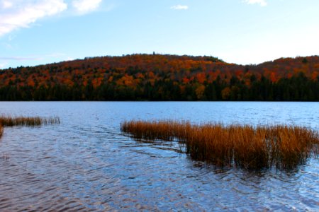 Algonquin provincial park, Canada, Lake