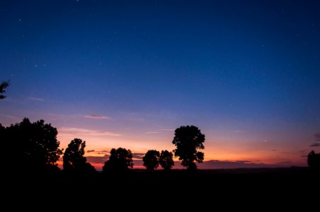 Pol, Night sky, Trees photo