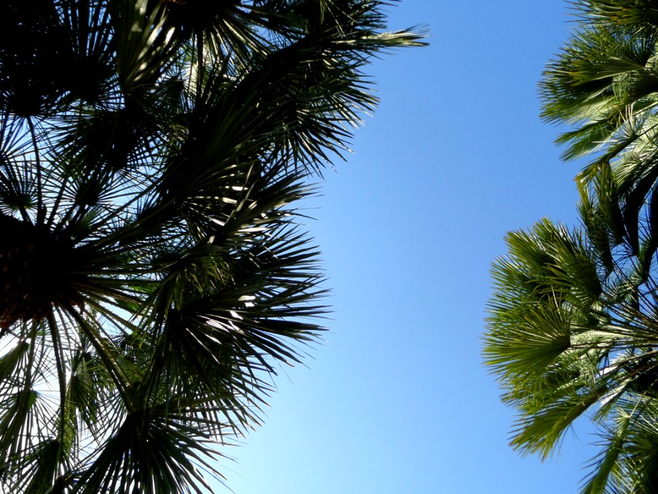 Barcelona, Spain, Green
