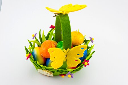 Egg colorful custom photo
