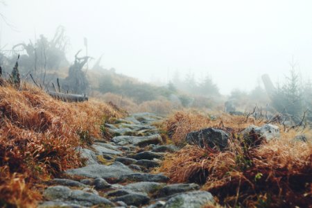 grey stone ladder