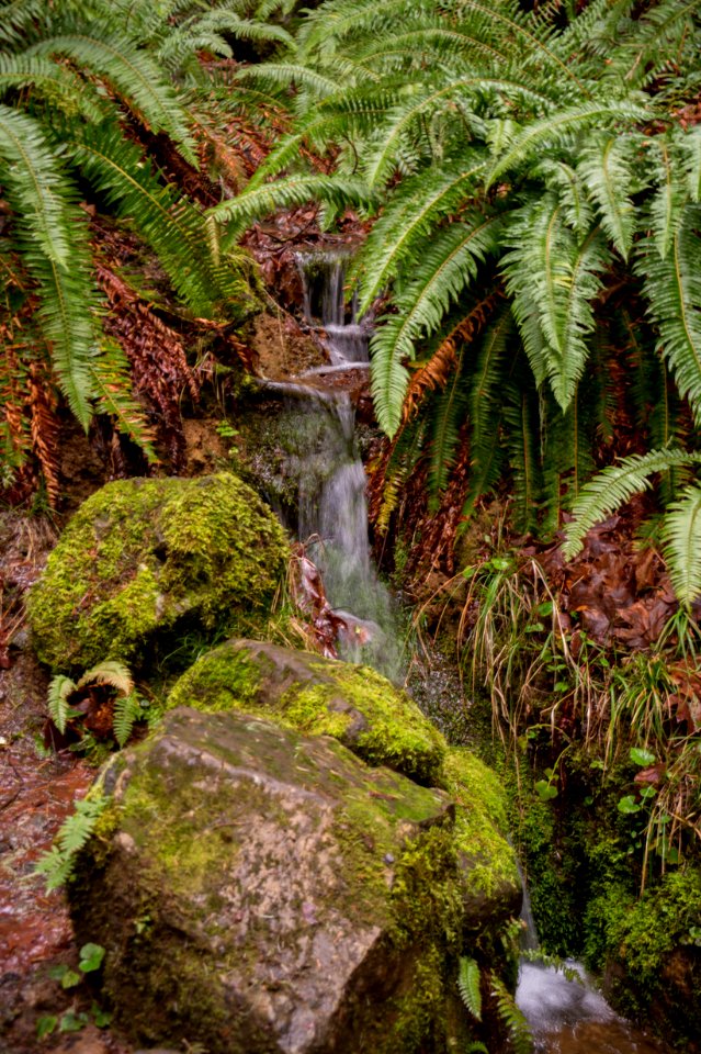 Oregon, United states, Water fall