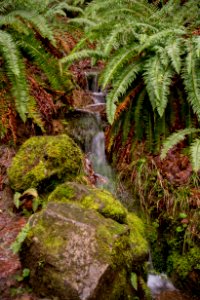 Oregon, United states, Water fall