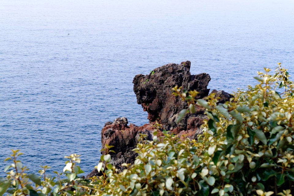 Jejudo, South korea, Ocean view