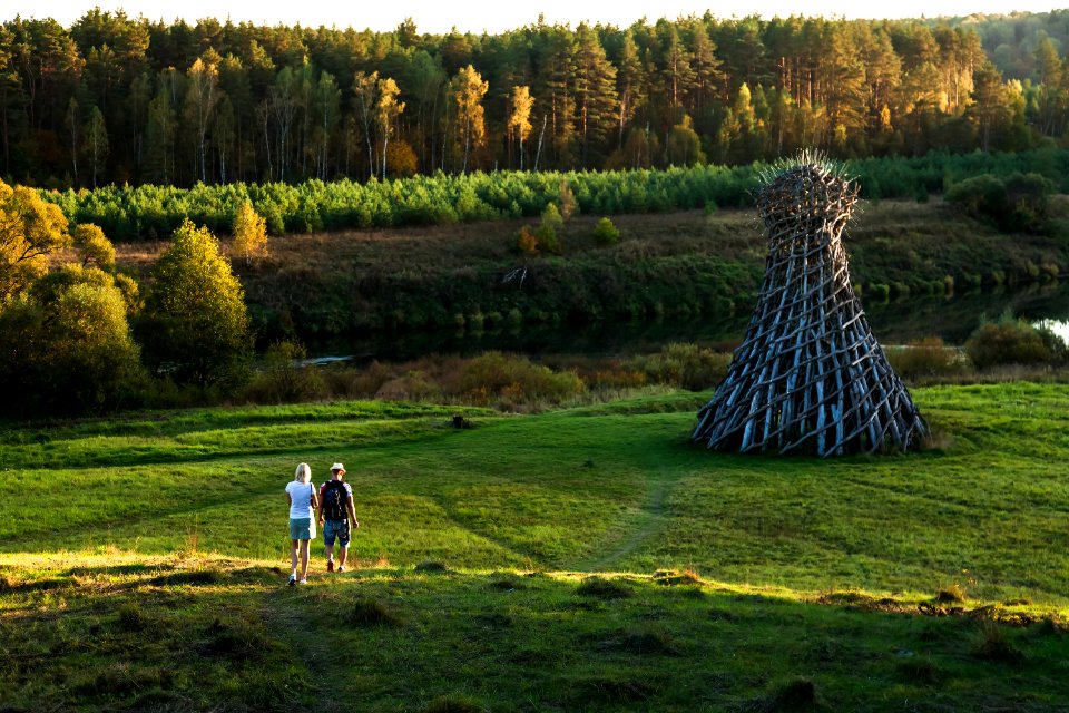 Couple, Dawn, Forest