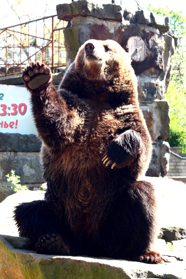Kaliningrad zoo, Konigsberg, Russia
