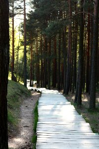 Rybachy, Russia, Relax