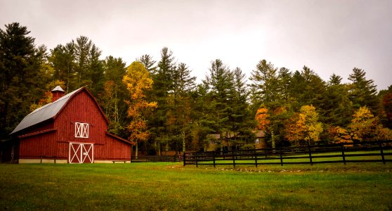 barn surrounded by trees photo
