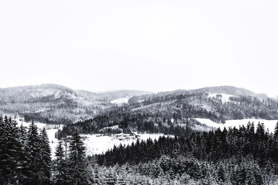 photography of snow covered mountain and forest during daytime