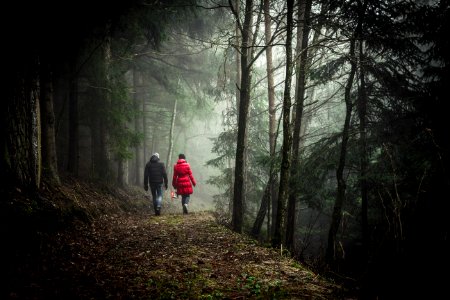 two person walking in forest during daytime photo