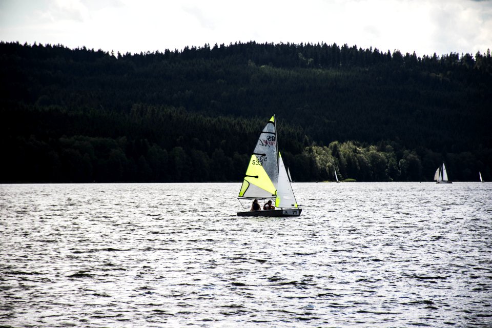 Lipno nad vltavou, Czech republic, Woods