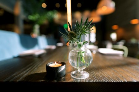 green plant in clear glass vase photo