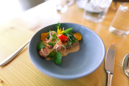 vegetable salad on blue ceramic bowl photo