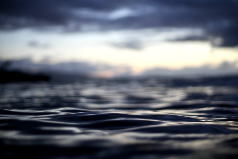 macro photography of body of water