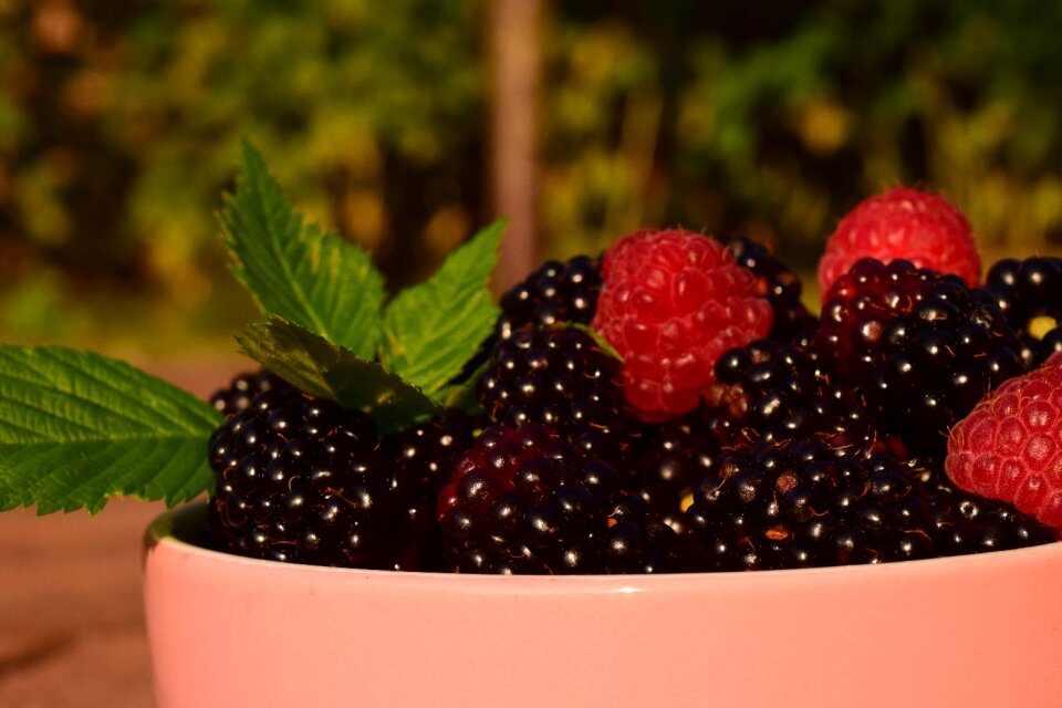 Berries fruit berry