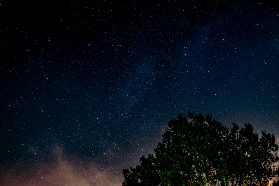 landscape photography of tree under sky
