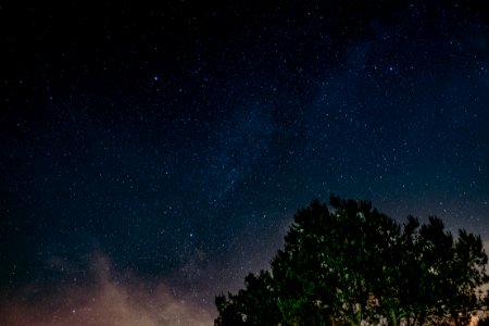 landscape photography of tree under sky