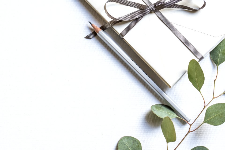 flat lay photo of book and pencil