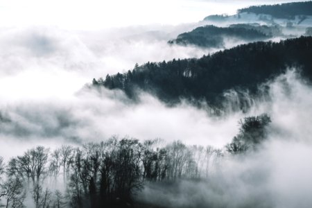 bird's eye view photography of trees and mountains with fog photo