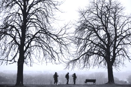 silhouette of three person standing between leafless trees at daytime photo