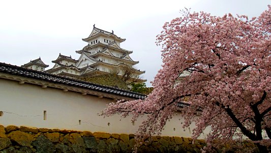 Himeji castle, Japan, Himeji shi photo