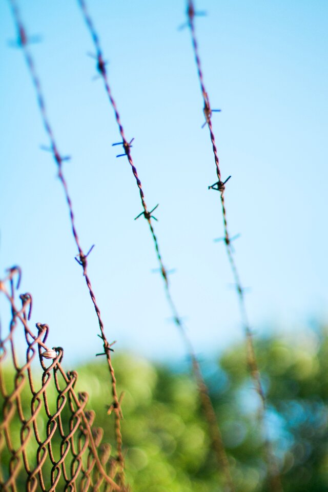 Barbed wires fence wire mesh