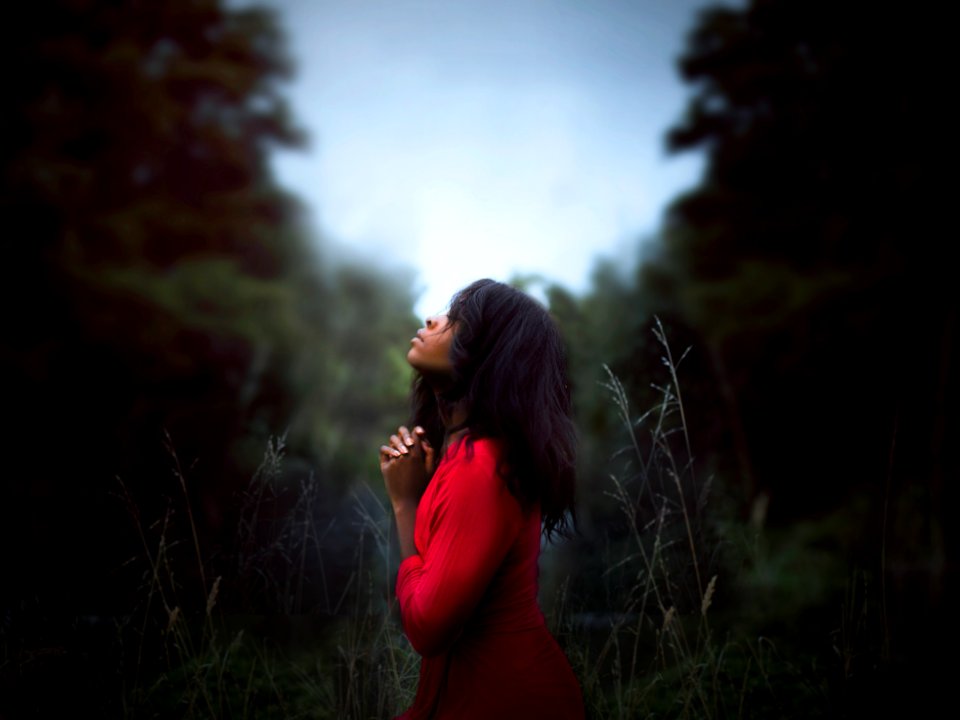 woman wearing red sweatshirt looking at top between trees near grass during daytime