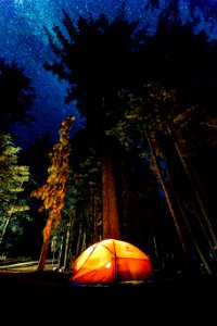 camping in forest during nightime photo