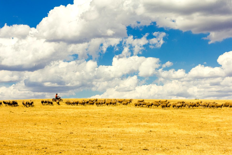 Victoria, Australia, Outback
