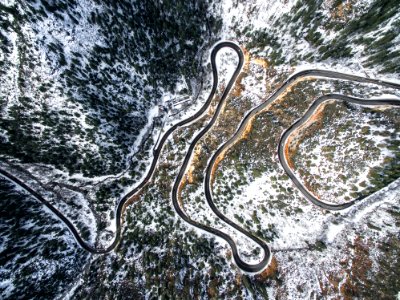 bird's eye view of highway in forest photo