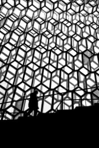 person walking on stairs inside building photo