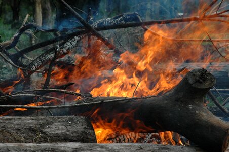 Rural wood flame photo