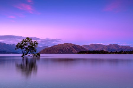 tree on body of water near mountains photo
