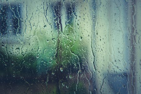 Rain, Window, Drop photo