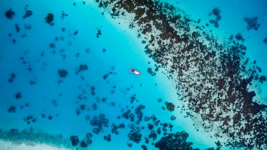 aerial photography of sailing boat on blue sea