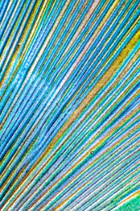 Texture, Background, Pattern
