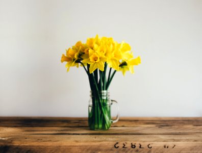 yellow petal flower on clear glass vase photo