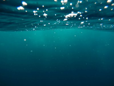 photo of underwater