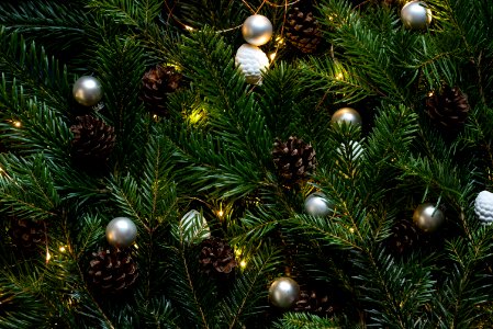 closeup photo of Christmas tree with ornament and lighted lights photo