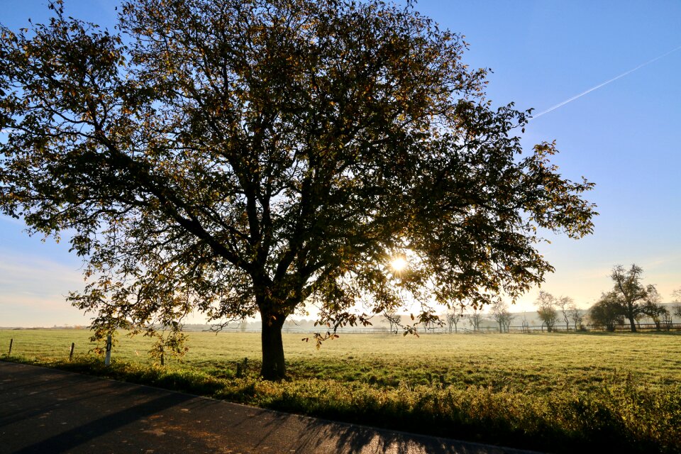 The sun camp field