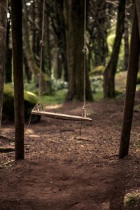 brown wooden swing surrounded with trees photo
