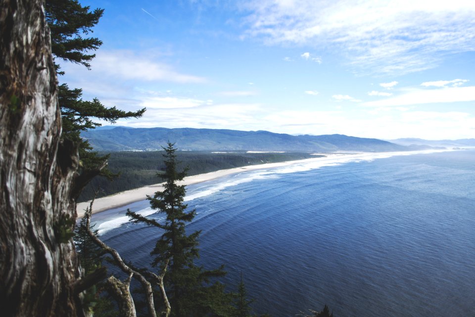 white sand beach near green mountain photo