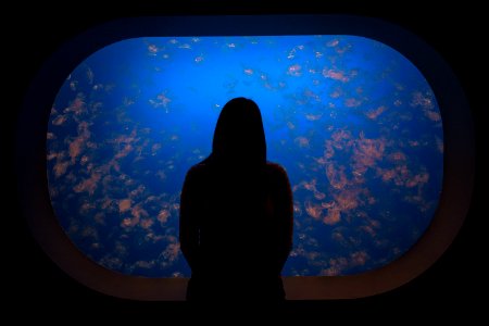 silhouette woman in front of aquarium photo