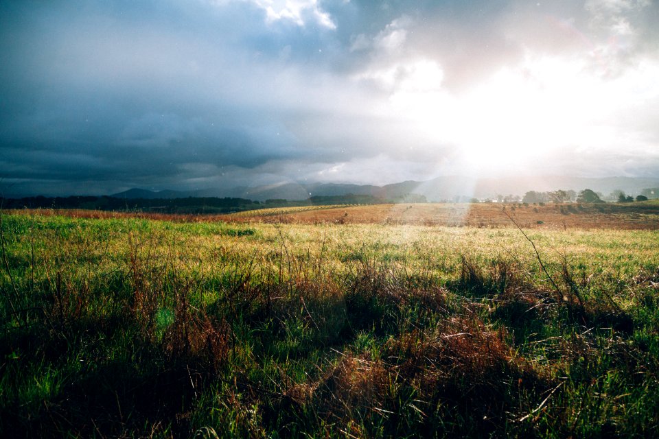 green grass field near mountains in sunset