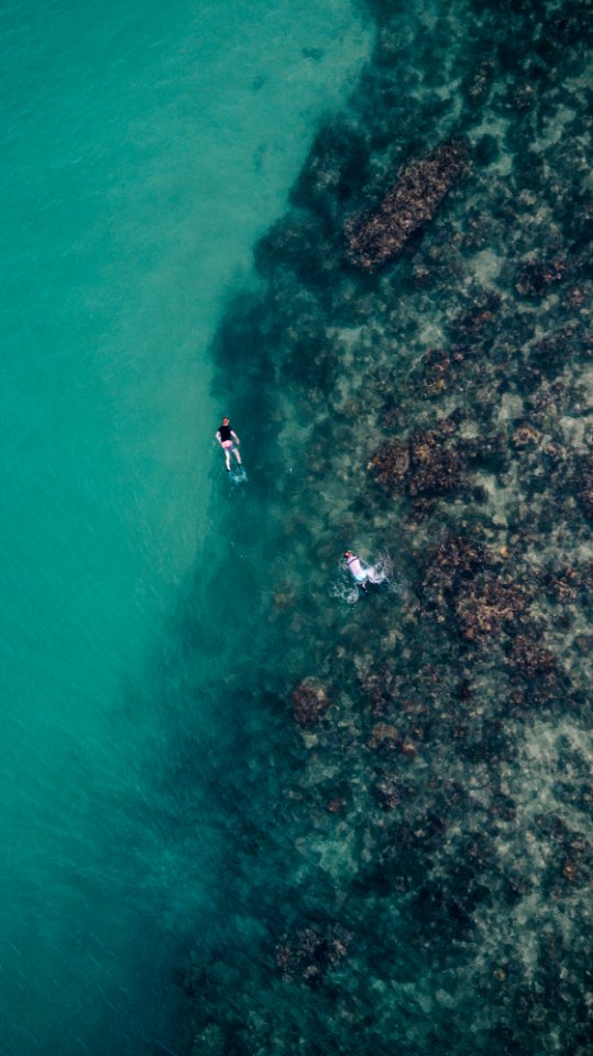 two people swimming on the sea