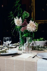 white and brown flowers on white table photo